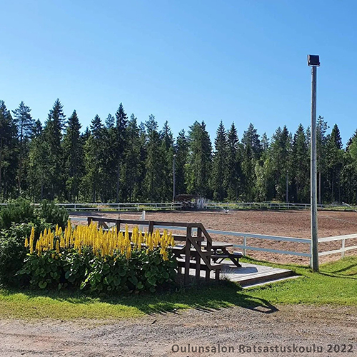 Kenttäjakatsomo