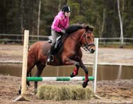 Derbyratatreenit