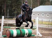 Derbyratatreenit