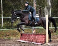Derbyratatreenit