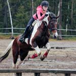 Derbyratatreenit