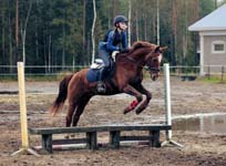 Derbyratatreenit