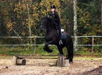Derbyratatreenit