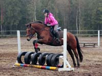 Derbyratatreenit