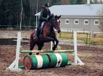 Derbyratatreenit