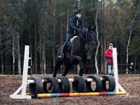 Derbyratatreenit