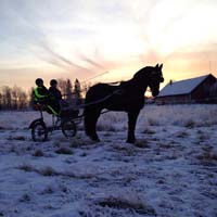 Annan Joulurehvehdys
