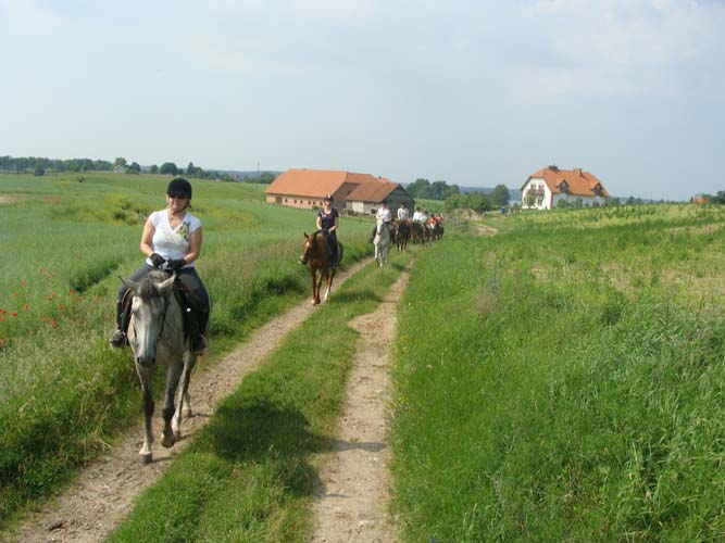 Puola 2007