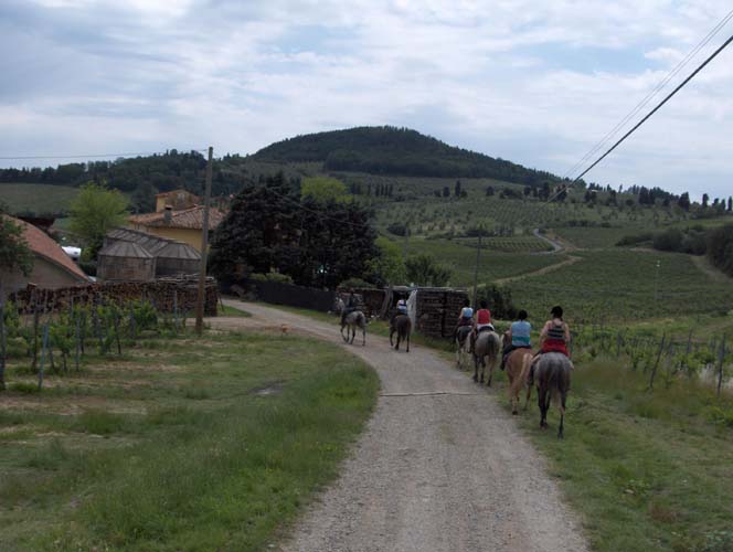 Toscana 2006