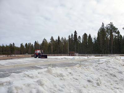 Kevään tekoa