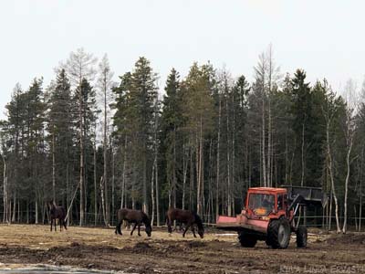 Kevään tekoa
