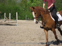 Percival 2