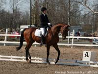 Silvano 6