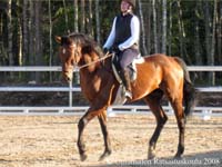 Silvano 7