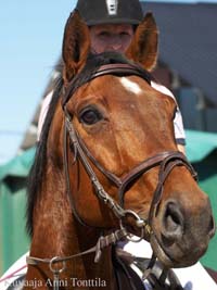 Silvano 8