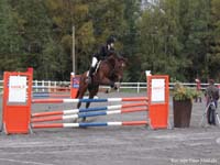 Silvano 9