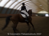 Tiina ja Silvano