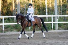 Asma 11