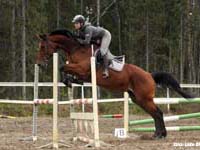 Catleen 12