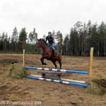 Derbyratatreeni