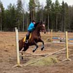 Derbyratatreeni