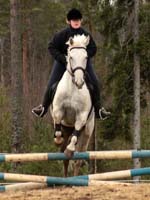 Derbyratatreen