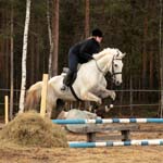 Derbyratatreen