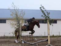 Derbyratatreeniä