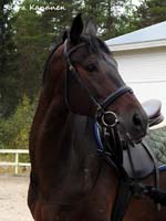 Herakles