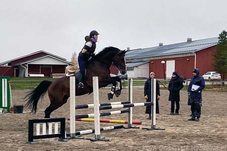 Hingunniemi