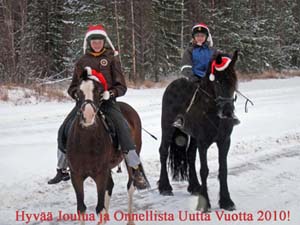Hyvää Joulua!