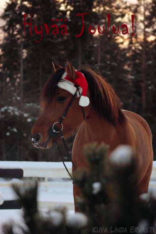 Hyvää joulua!