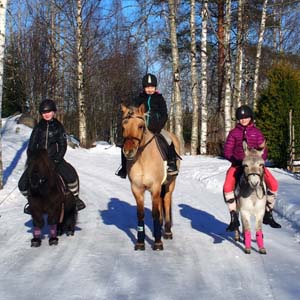 Terveisiä Sarnalta