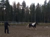 Silvano 19