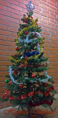 Hyvää Joulua!