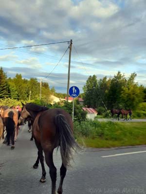 Juhannusseikkailu