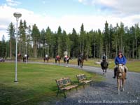 Kesälaitumelta kotiin