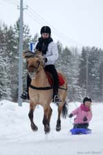 Kivakaveri