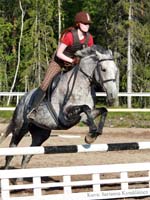 Lenja 13