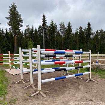 Maalaustalkoot