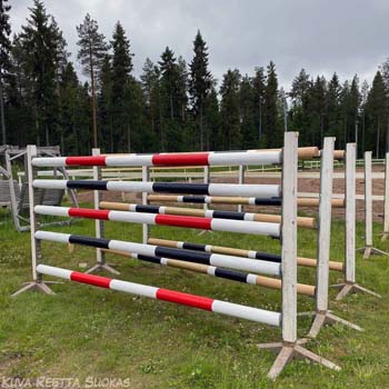 Maalaustalkoot