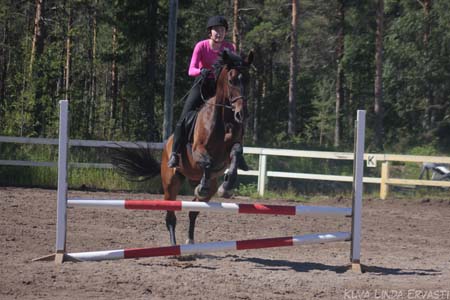 Magyar
