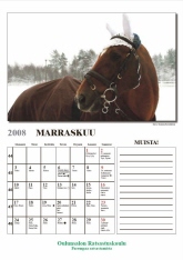 Marraskuu