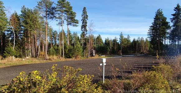 Mursketta