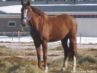 Percival