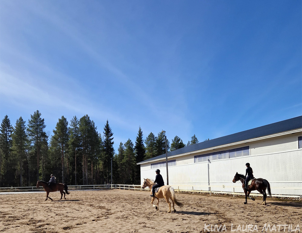 Kenttäkorkattu