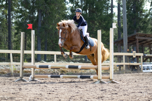 hevonen