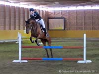Saporo 11