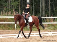 Saporo 12