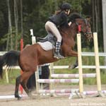 Saporo 18